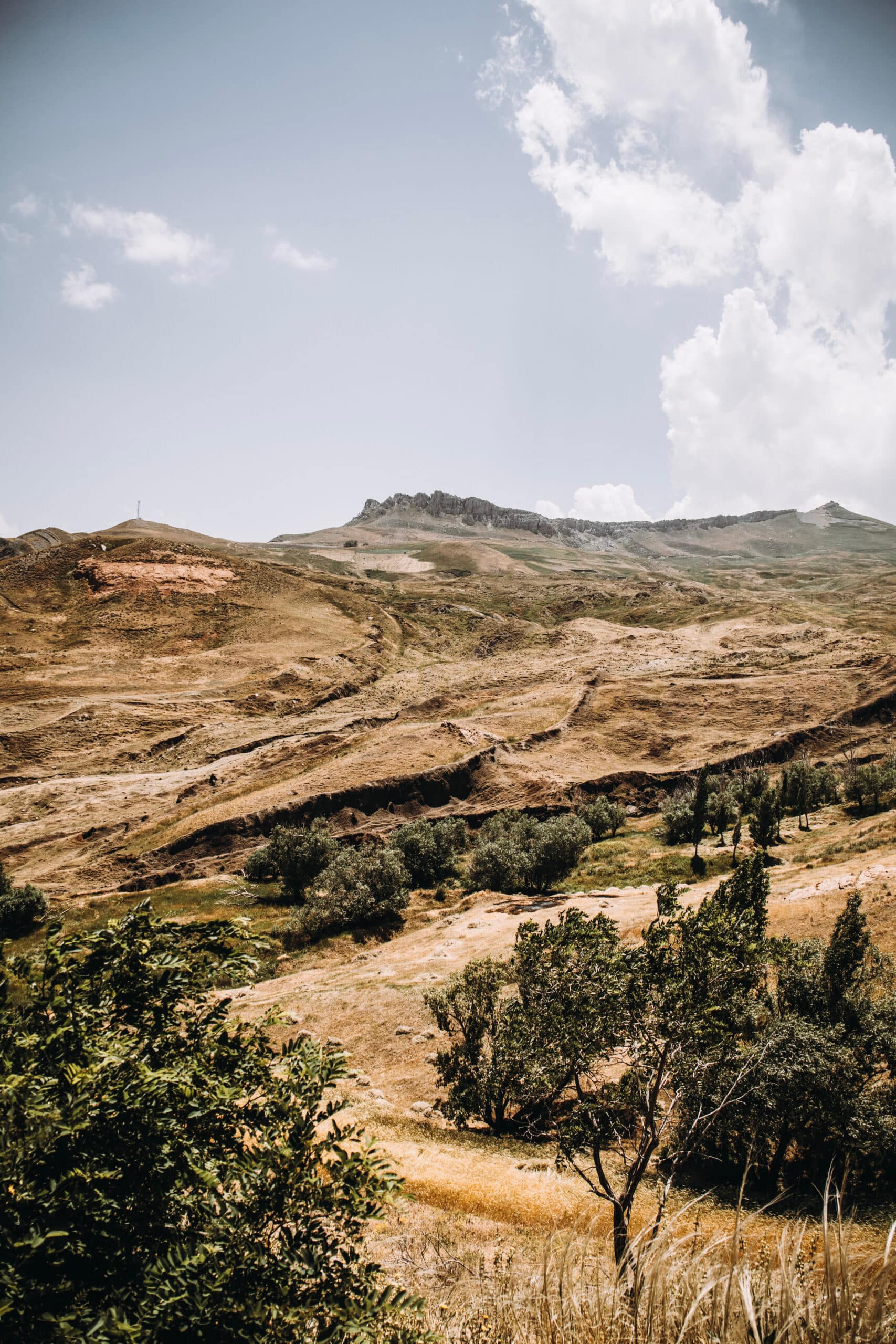 Ararat 2025 Mountain Beat_50