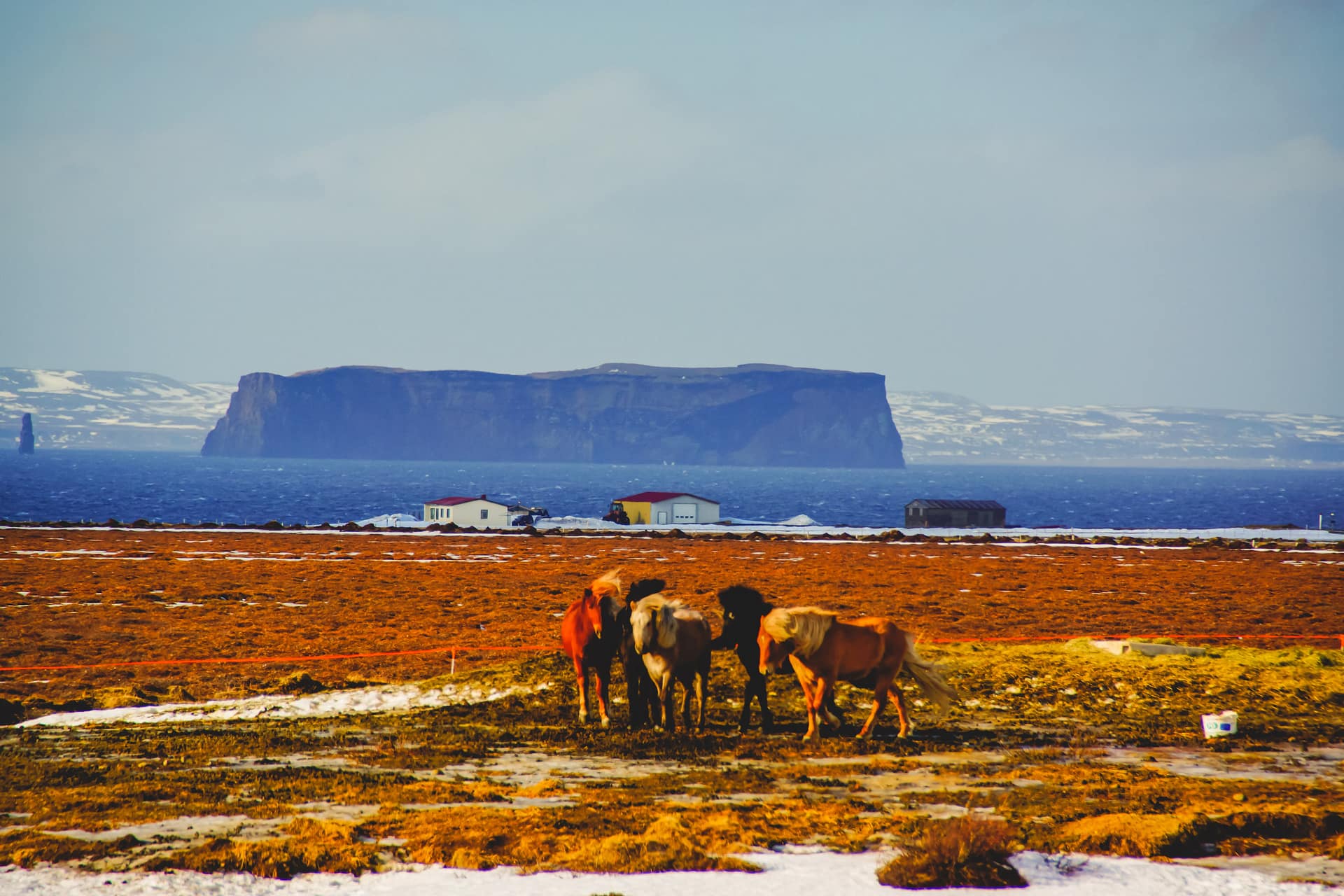 Mountain Network - toerskiën Troll Peninsula, IJsland_3