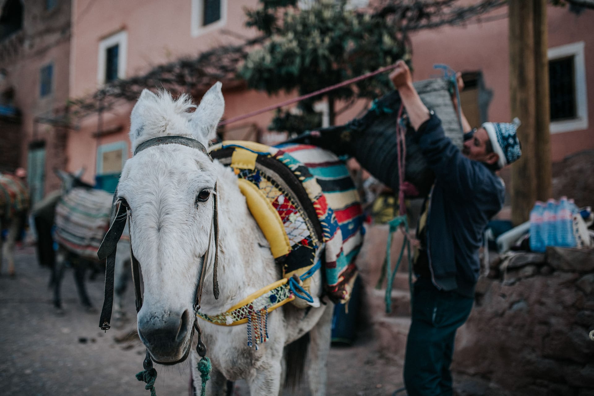 Mountain Network - Toubkal beklimming trekking-20
