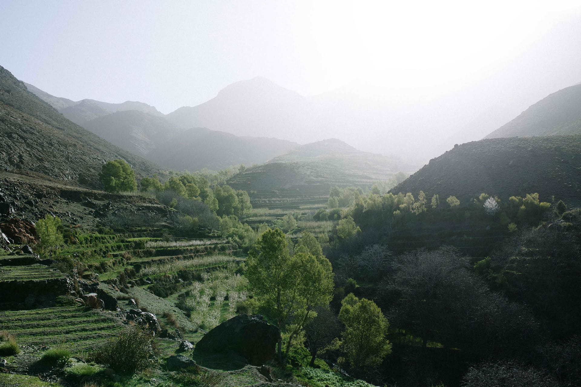 Mountain Network - Toubkal beklimming trekking-28