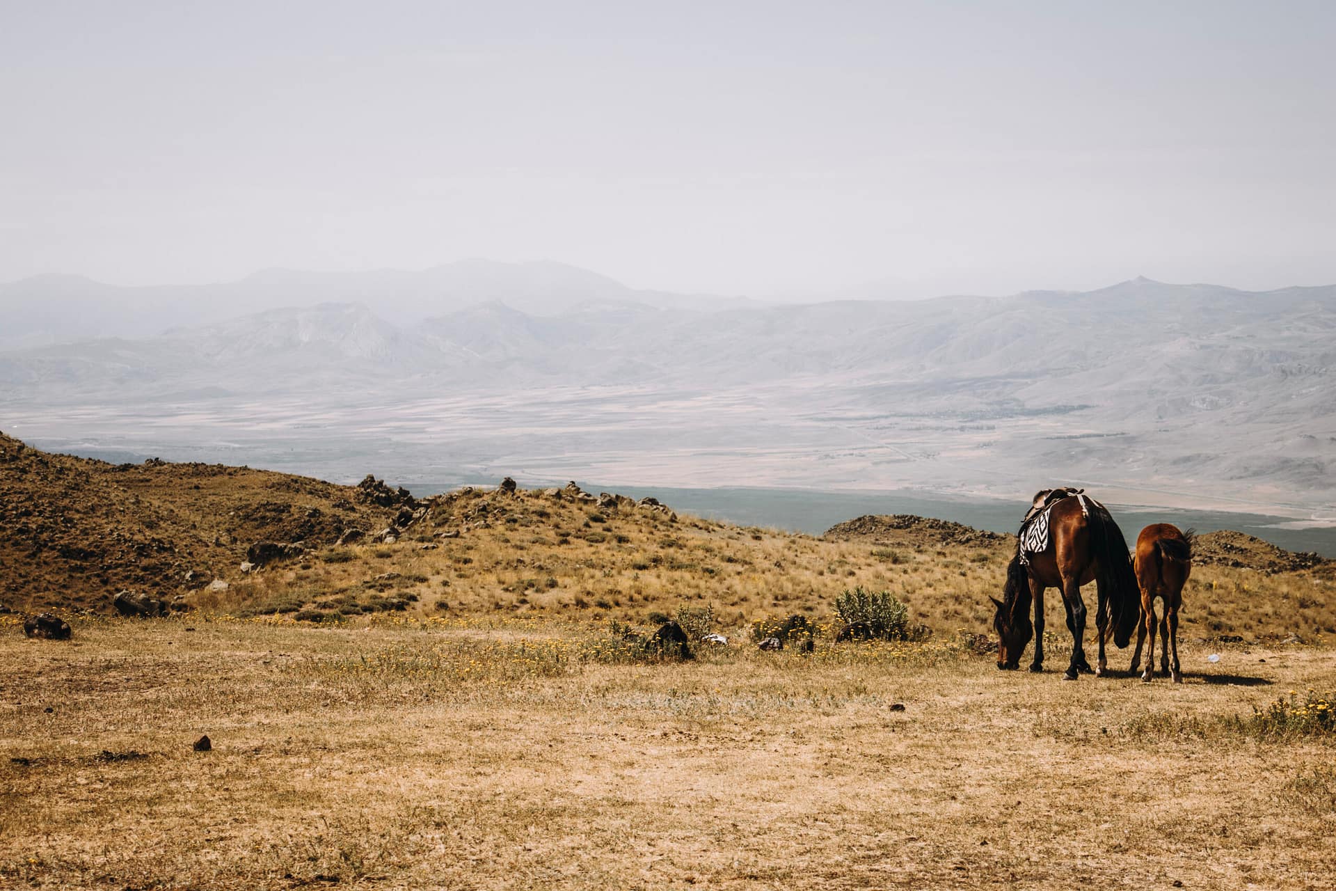 Ararat 2025 Mountain Beat_20