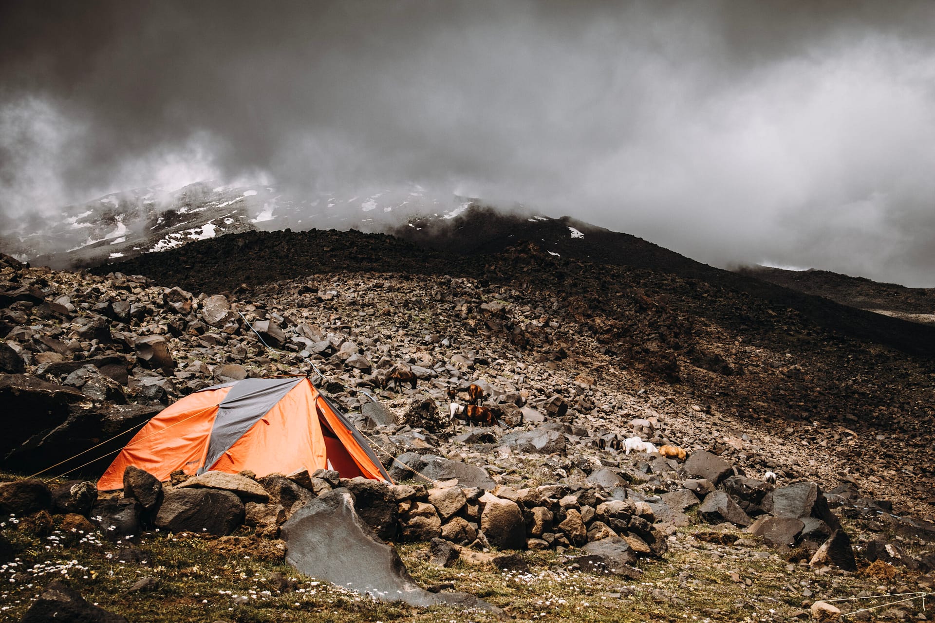 Ararat 2025 Mountain Beat_24