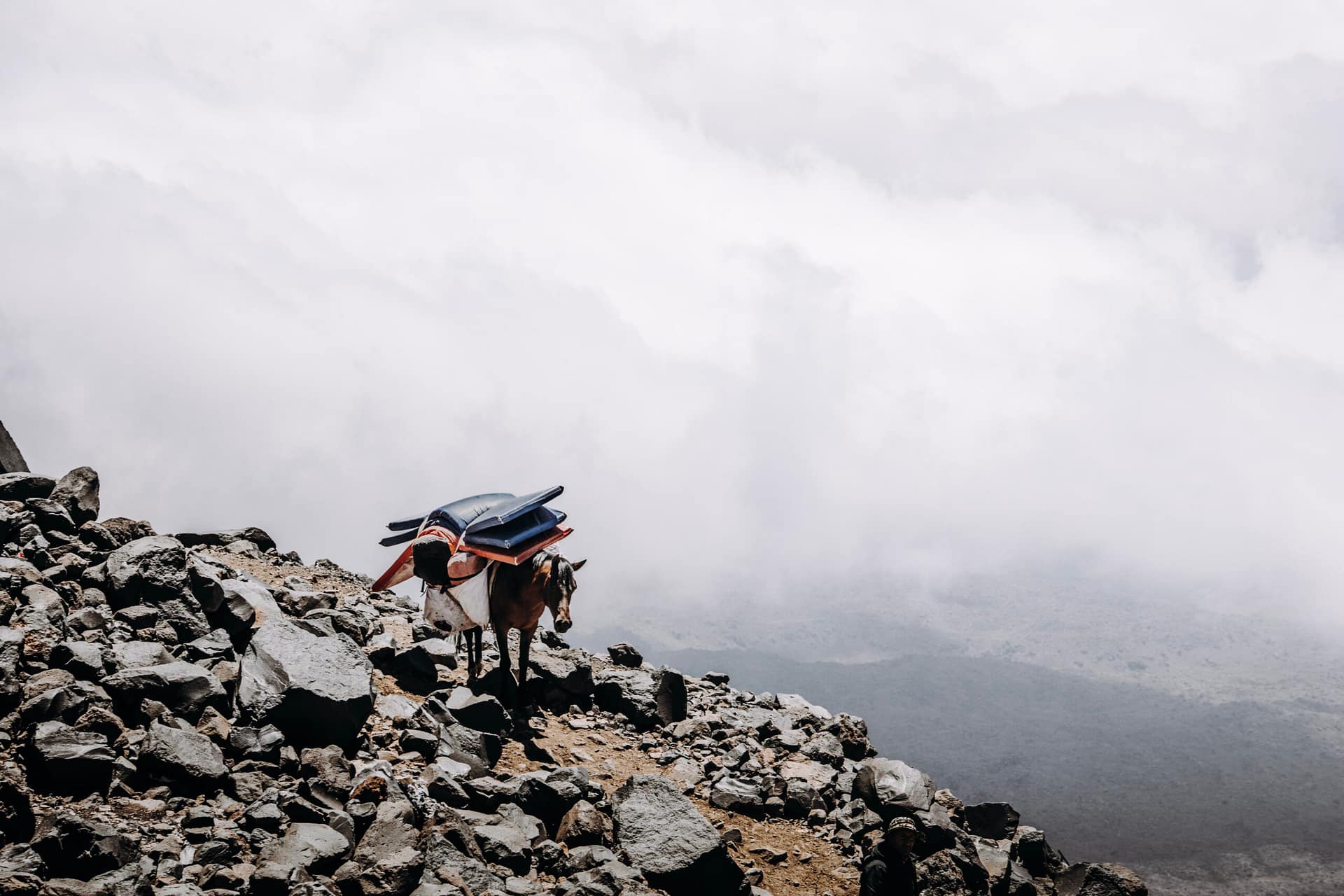 Ararat 2025 Mountain Beat_47