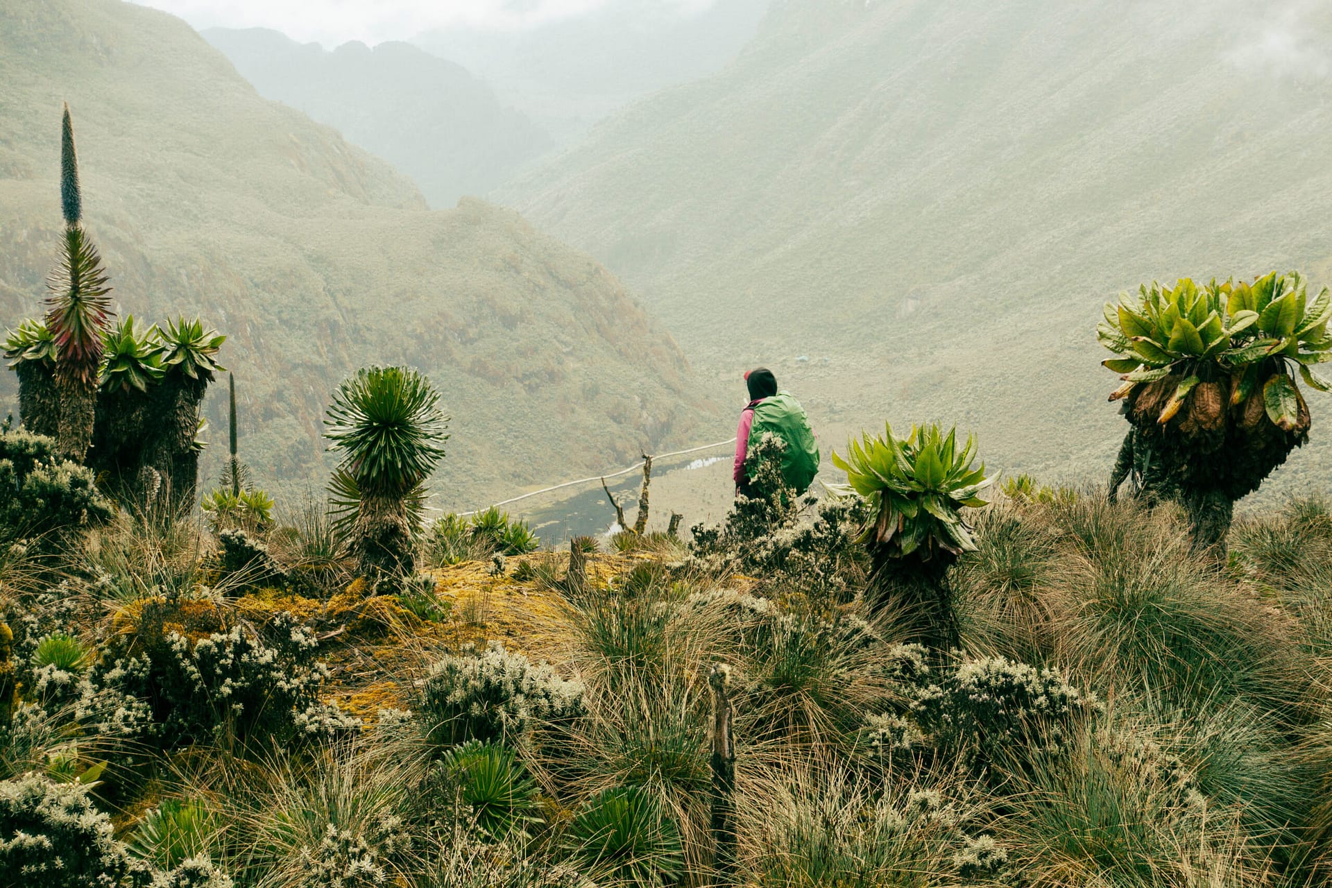 Margherita Peak - Rwenzori - Mountain Beat