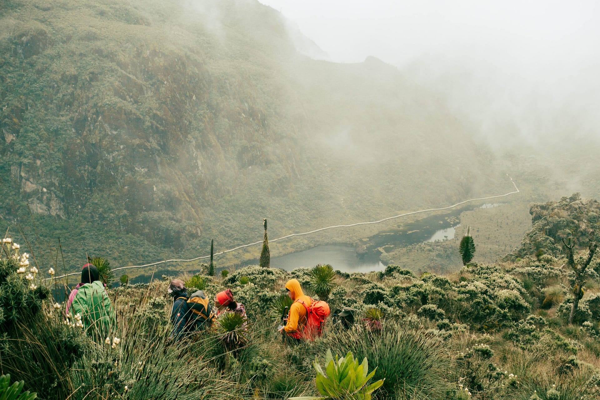 Margherita Peak - Rwenzori - Mountain Beat