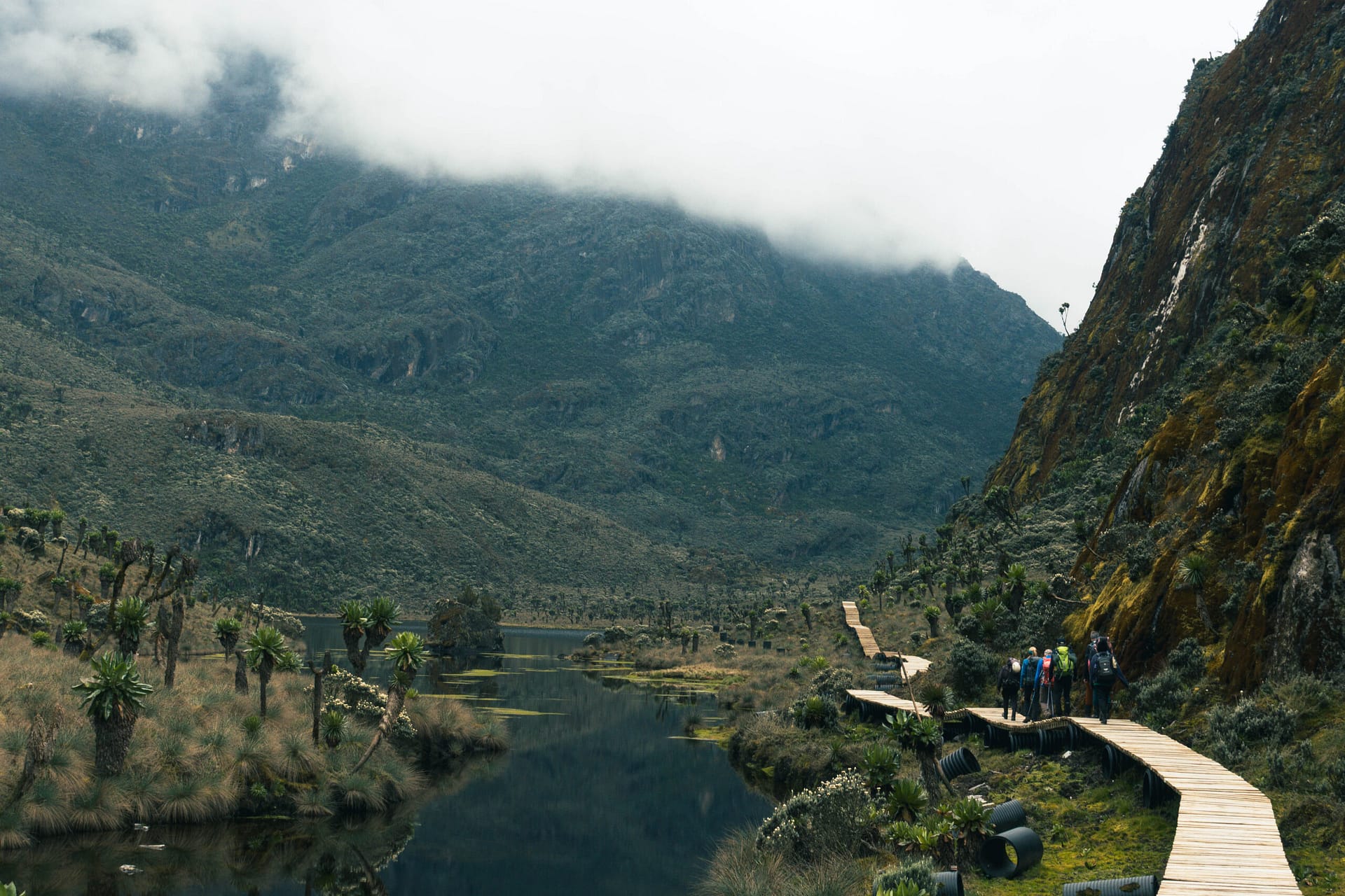 Margherita Peak - Rwenzori - Mountain Beat