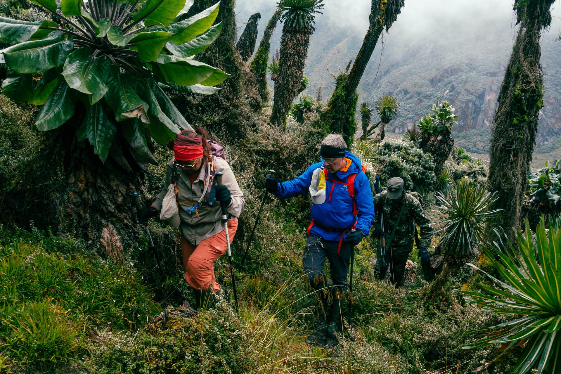 Margherita Peak - Rwenzori - Mountain Beat