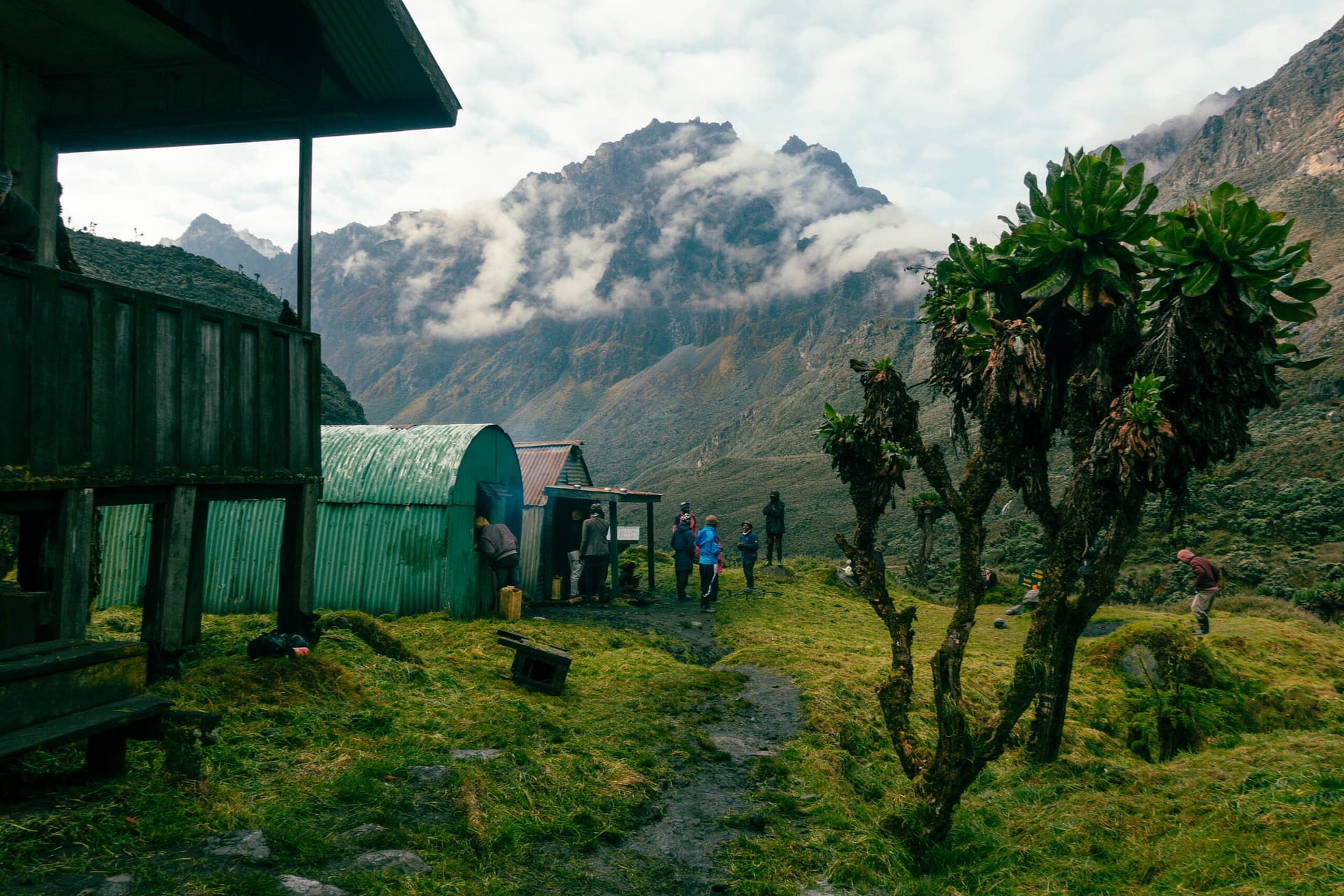 Margherita Peak - Rwenzori - Mountain Beat