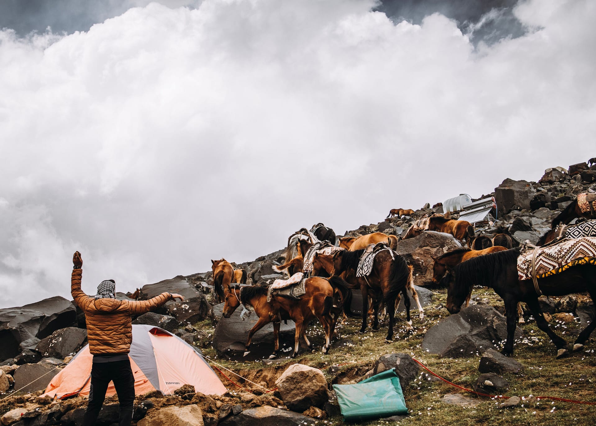 Ararat 2025 Mountain Beat_36